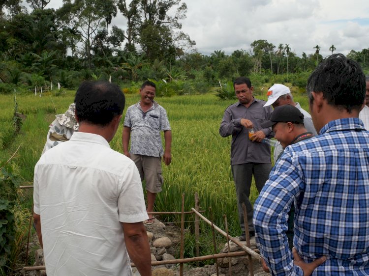 SATGASSUS PENCEGAHAN TIPIKOR PANTAU PROYEK PENINGKATAN DAN PEMELIHARAAN JARINGAN IRIGASI TERSIER DI SUMUT